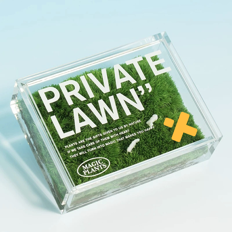 GRASS.jpg