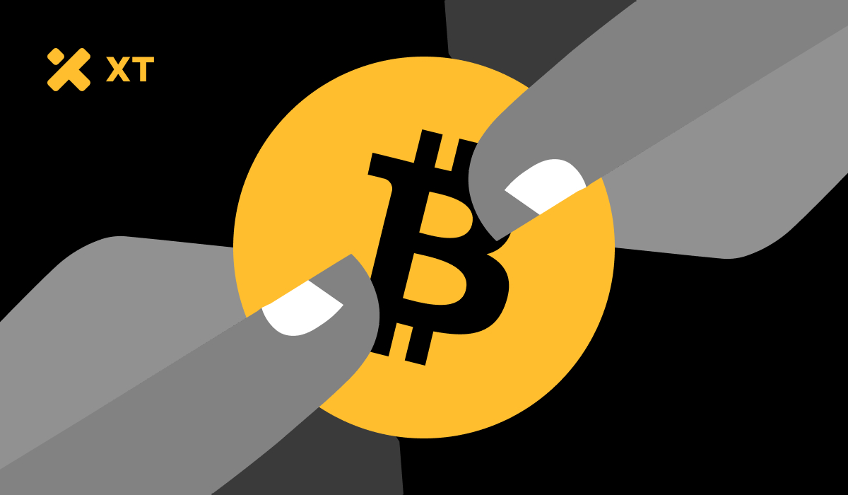 From-blockchain-to-business-explore-crypto-friendly-companies-except-tesla-and-microstrategy-cover.jpg