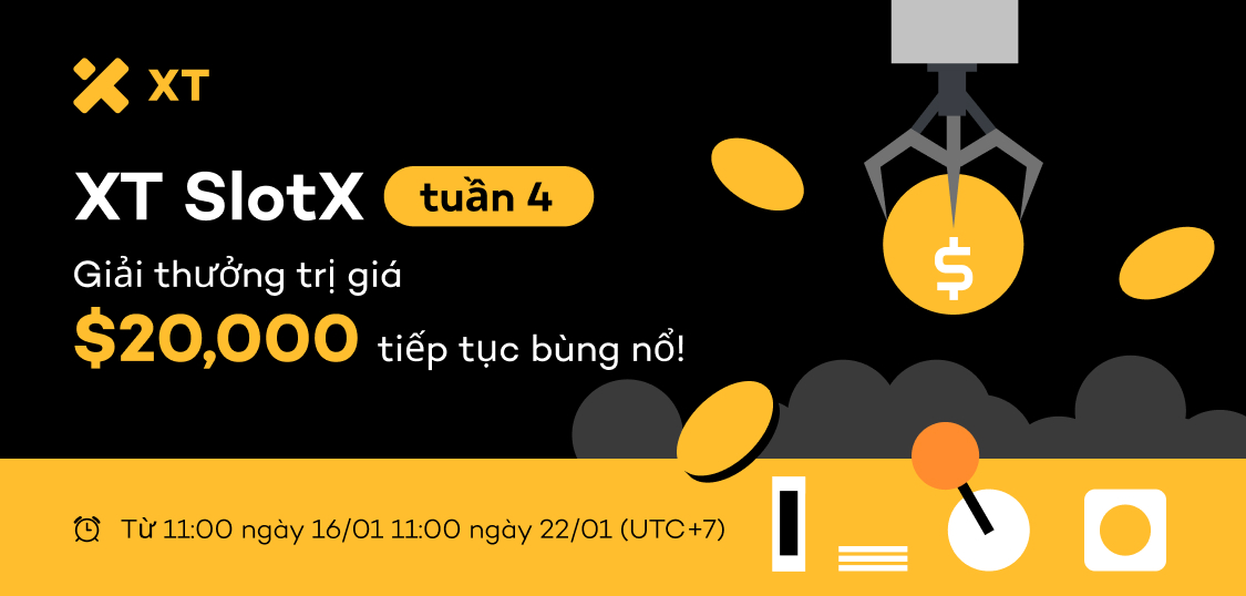 web VN.jpg