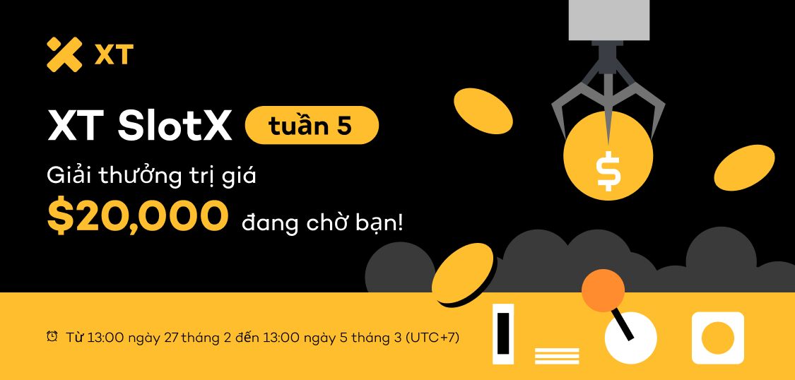 web VN.jpg
