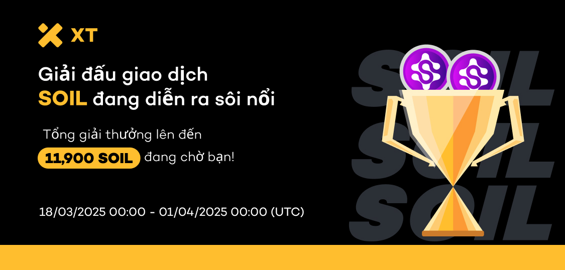 web VN.jpg