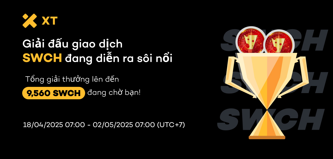 web VN.jpg