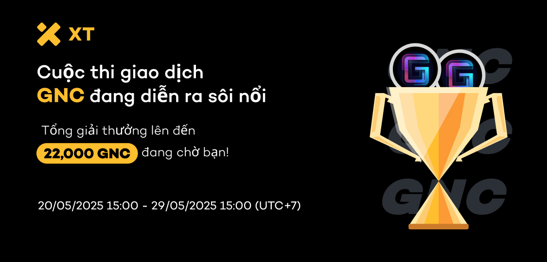 web VN.jpg