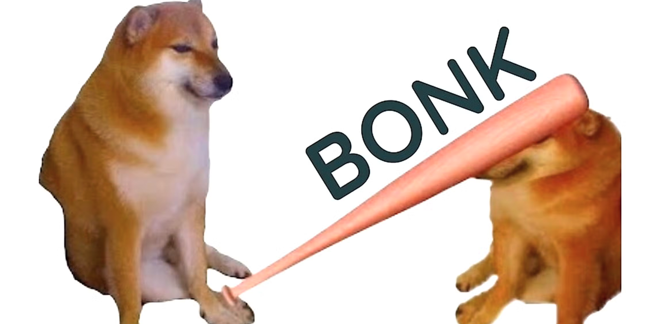 13.png