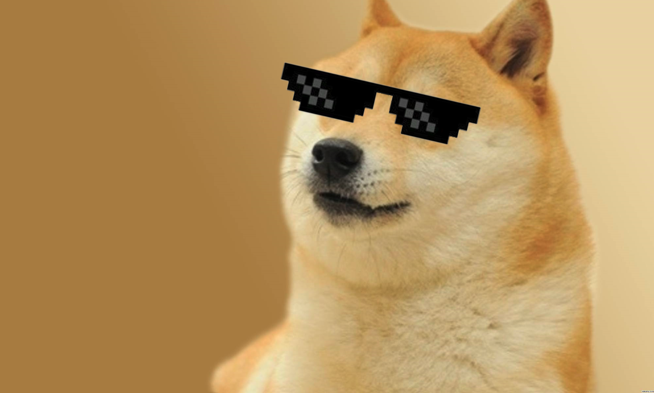 11.png