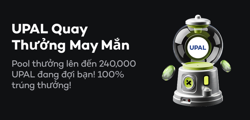 web banner VI.png