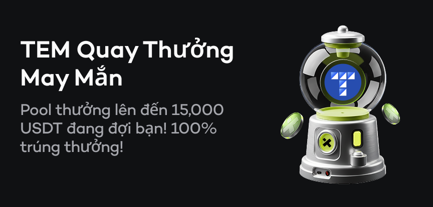 web banner VI.png