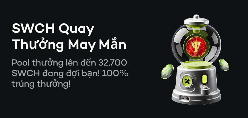 web banner VI.png