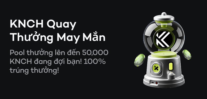 web banner VI.png