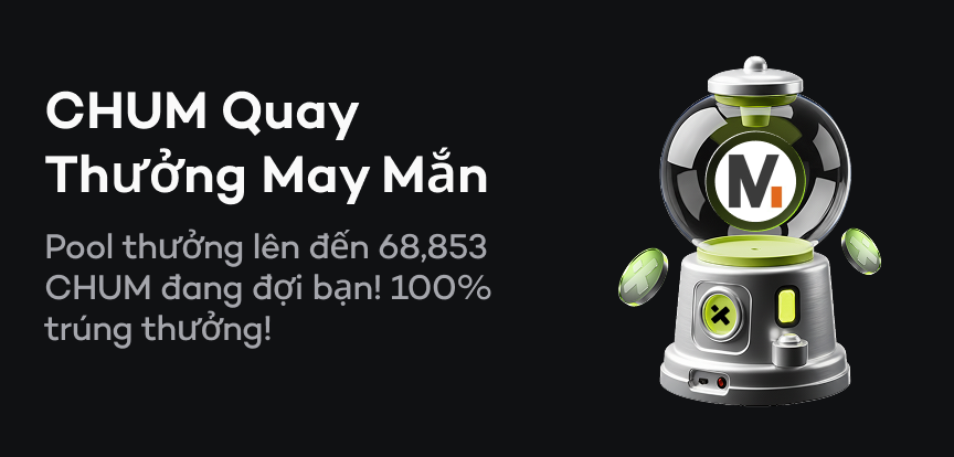web banner VI.png