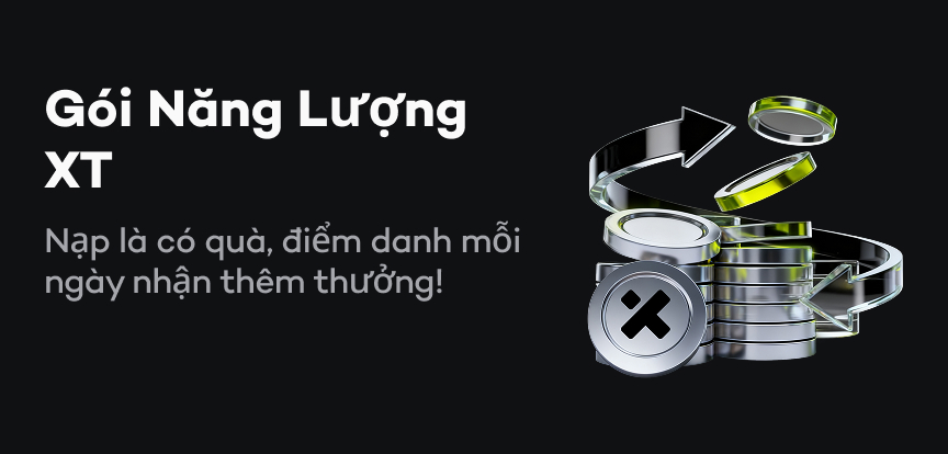 web banner VI.jpg