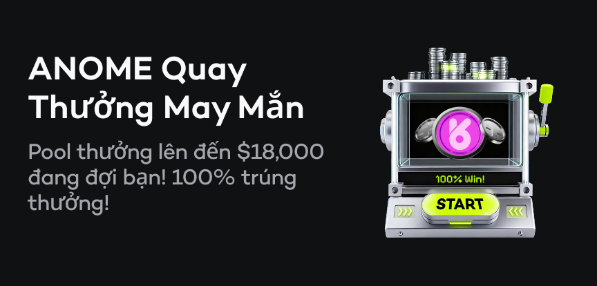 web banner VI.png