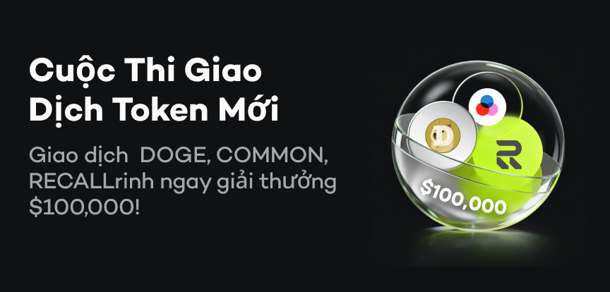 web banner VI.png