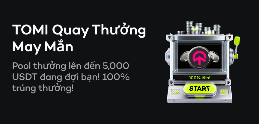 web banner VI.png