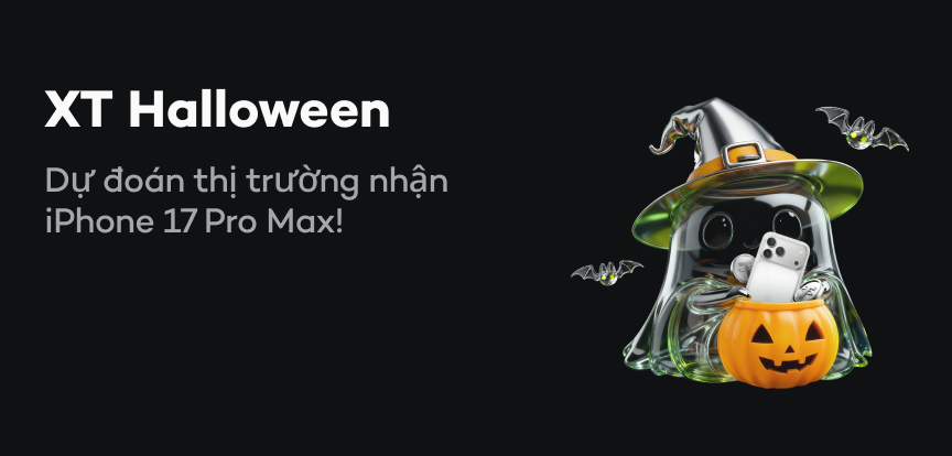 web banner VI.png