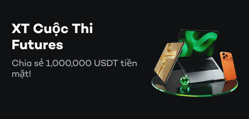 web banner VI.png