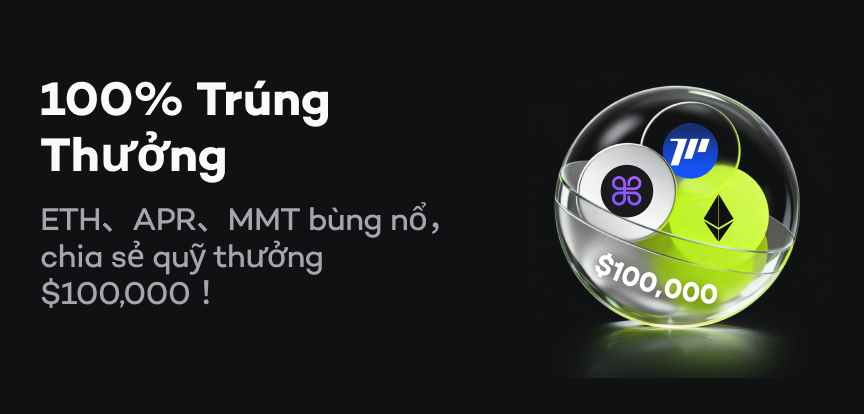 web banner VI.png