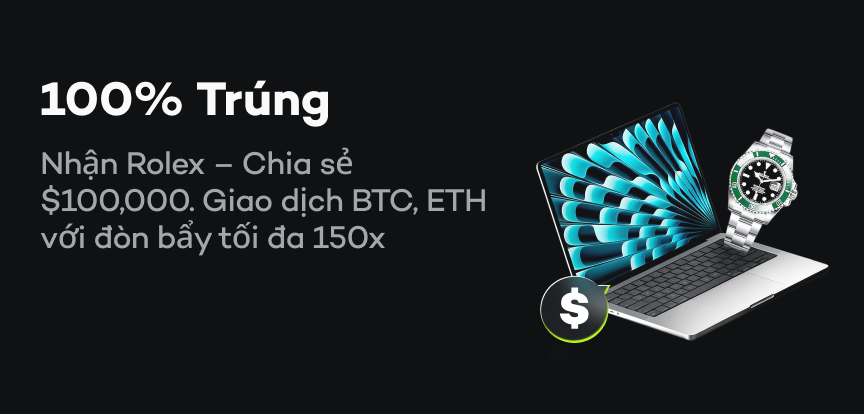 web banner VI.png