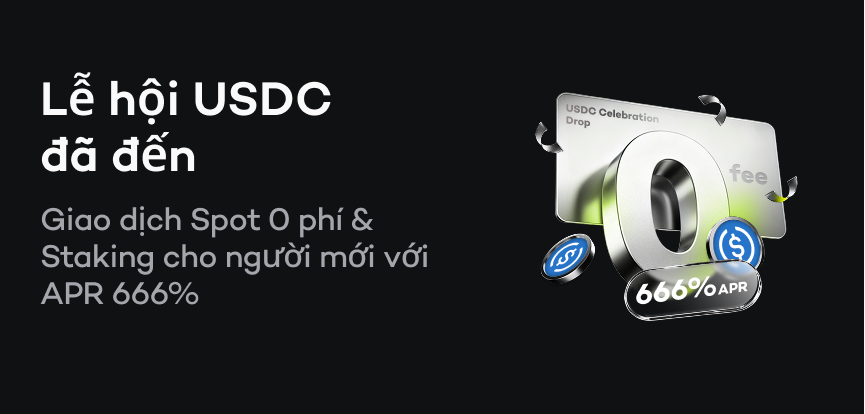 web banner VI.png