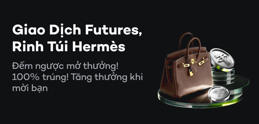 web banner VI.png