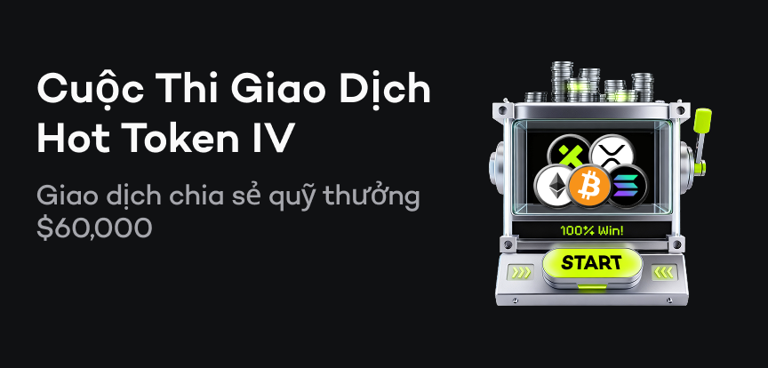 web banner VI.png