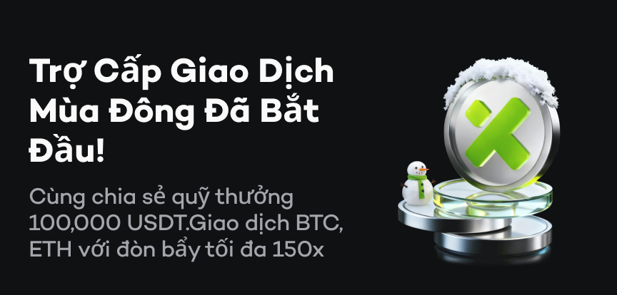 web banner VI.png