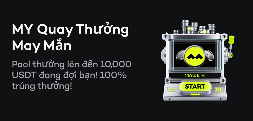 web banner VI.png
