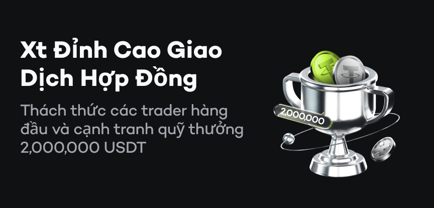 web banner VI.png