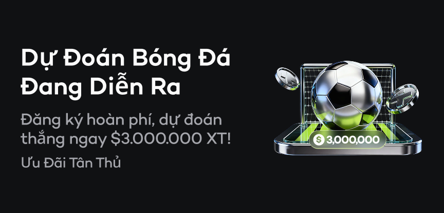 web banner VN.png
