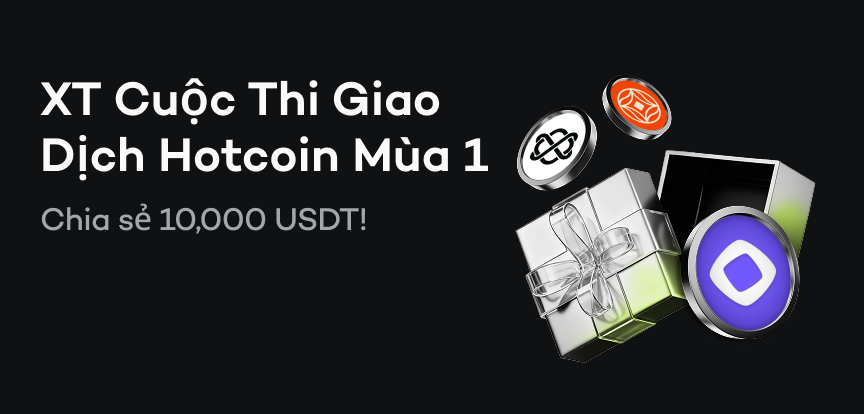 web banner VI.png