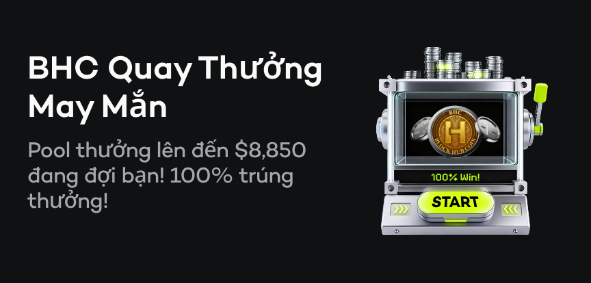 web banner VI.png