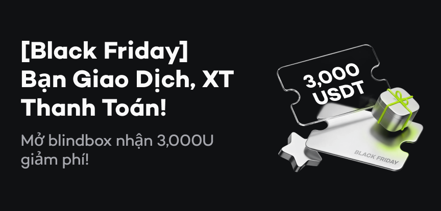 web banner VI.png