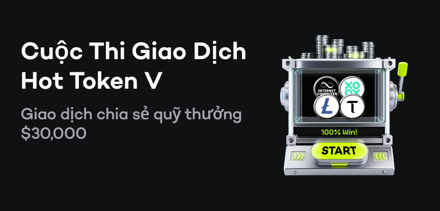 web banner VI.png