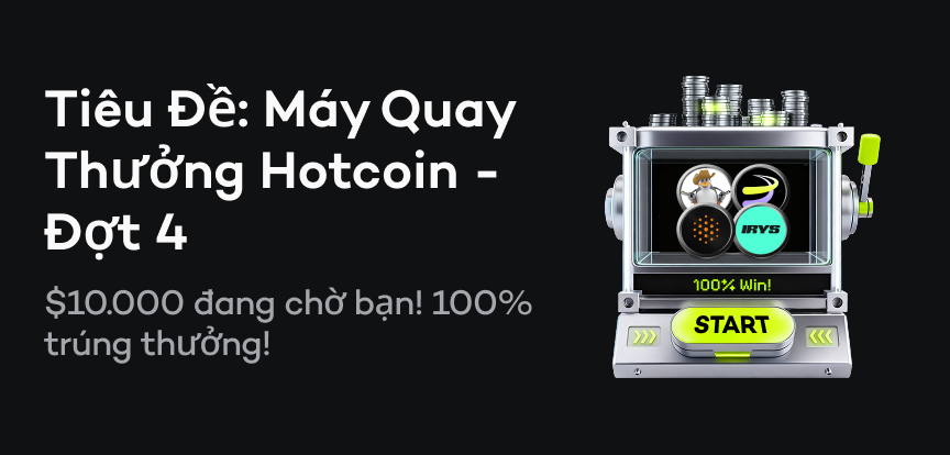 web banner VI.png