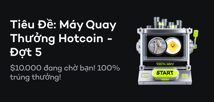 web banner VI.png