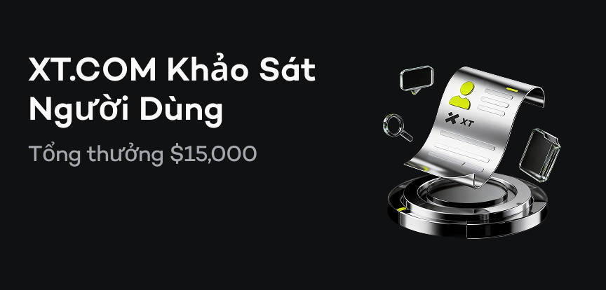 web banner VI.png