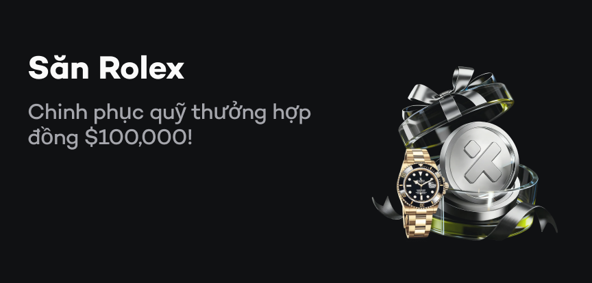 web banner VI.png