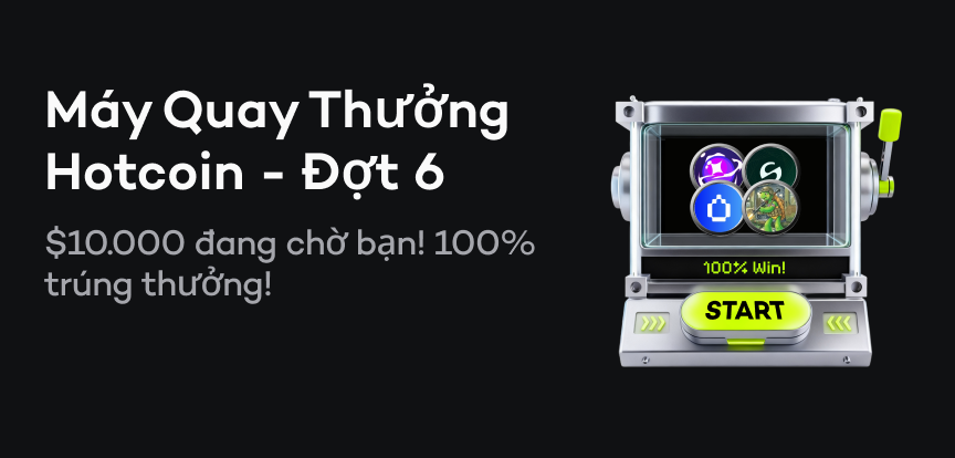 web banner VI.png