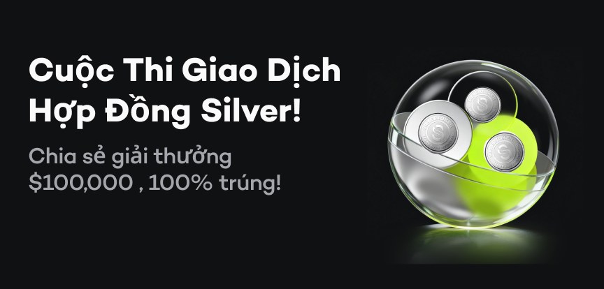 web banner VI.png