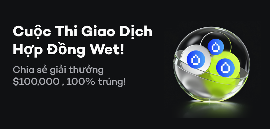 web banner VI.png