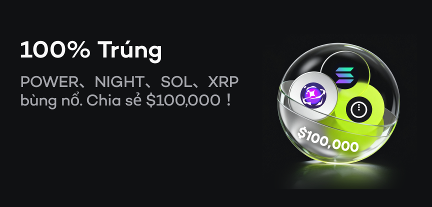 web banner VI.png