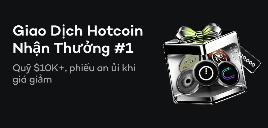 web banner VI.png