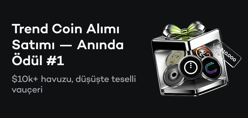 web banner TR.png