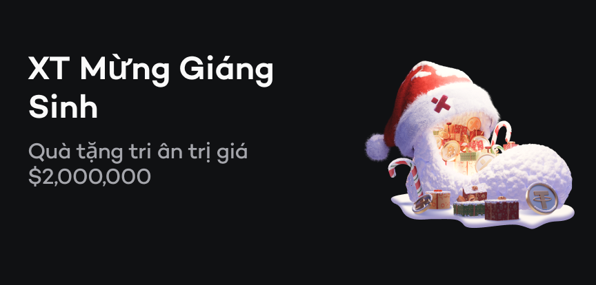 web banner VI.png