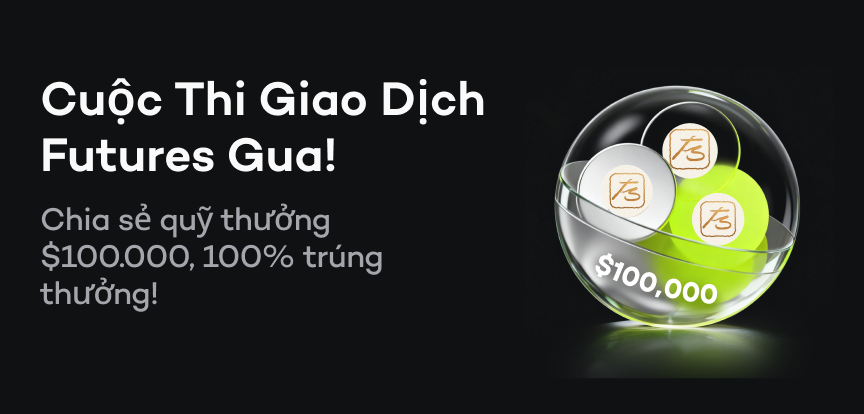 web banner VI.png