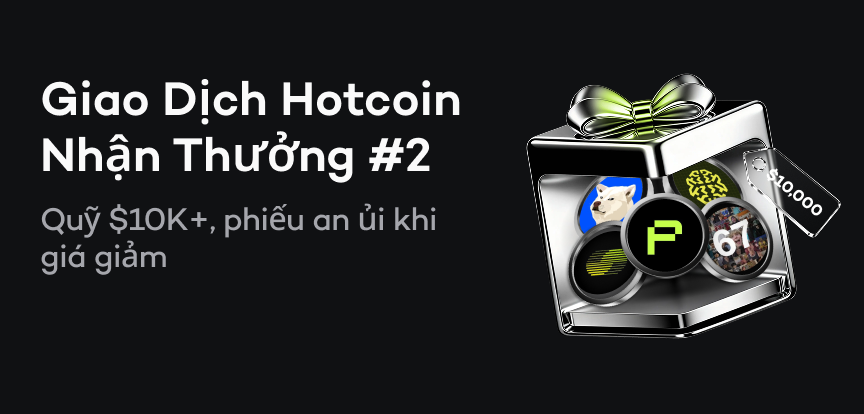 web banner VI.png