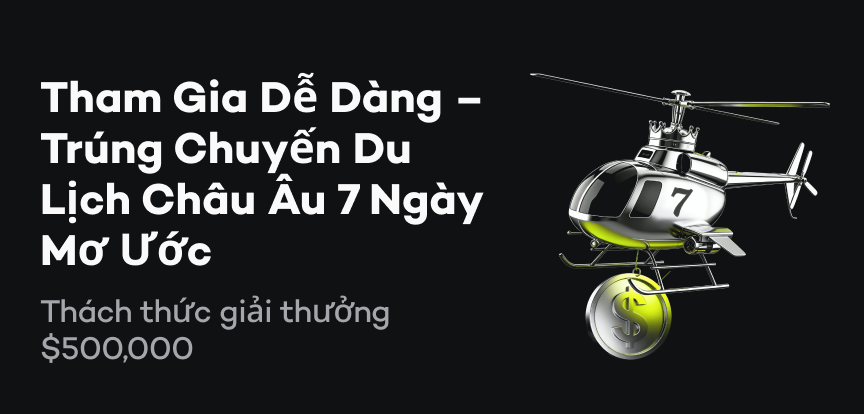 web banner VI.png