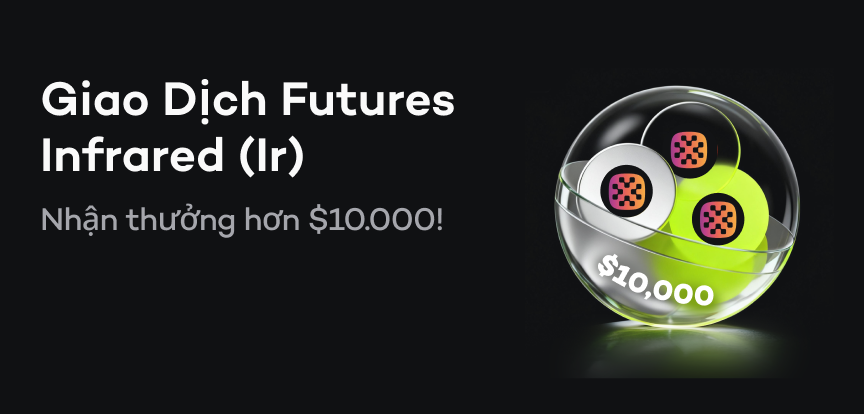 web banner VI.png
