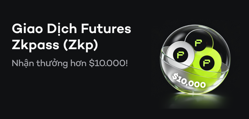 web banner VI.png