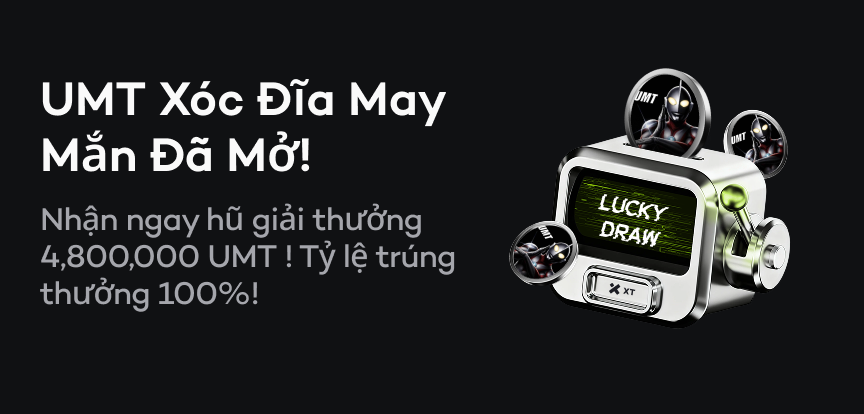 web banner VI.png